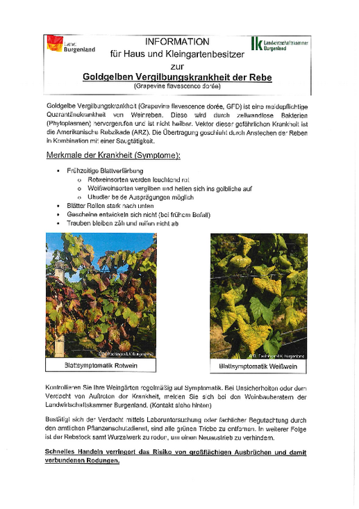 Info - Land