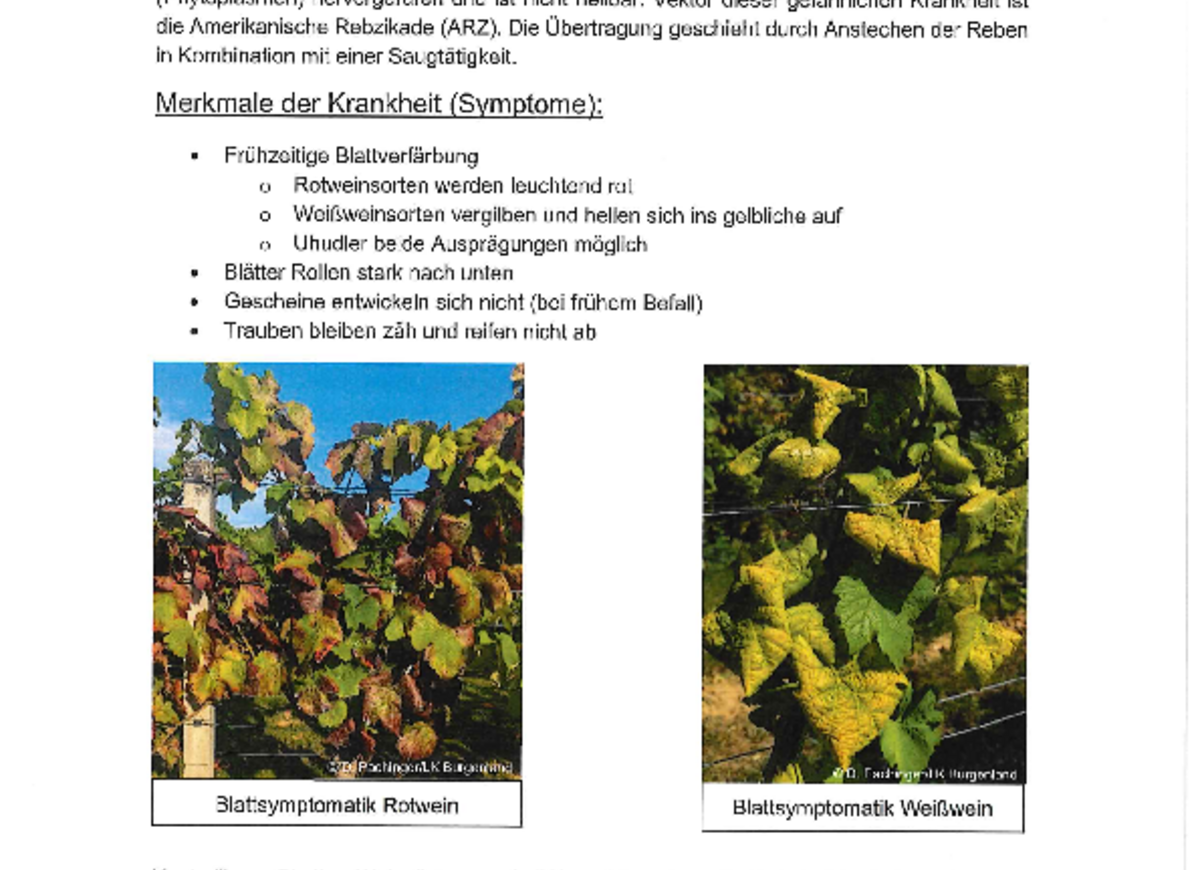 Info - Land